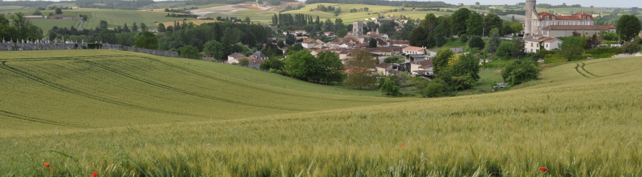 les coteaux et le bourg de blanzac vus depuis la vigne