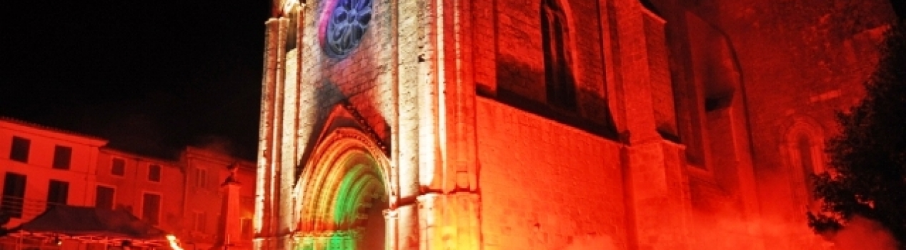 la collégiale saint-arthémy illuminée un soir de fête